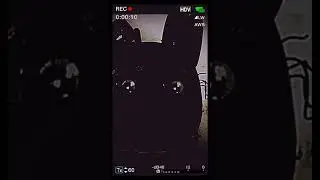 Fnaf vhs 
