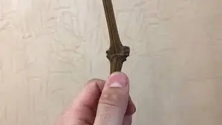 Как определить верх и низ черенка винограда