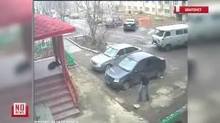 В Златоусте убили собаку