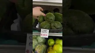Checking out the supermarket in South Florida! How is it different from German supermarkets?