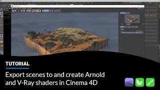 Export scenes to and create Arnold and V-Ray shaders in Cinema 4D