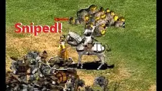 HILARIOUS KING SNIPES | Age of Empires Compilation