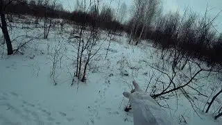 ОГО тут Заячья тропа. Ходовая охота зимой 2023