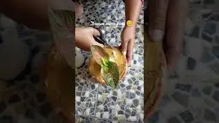 Golden hope 
