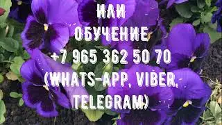 ТРИ РАСКЛАДА ТАРО ИЗ РЕАЛЬНЫХ КОНСУЛЬТАЦИЙ