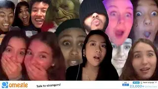THE BEST OF OMEGLE 2020! (FUNNIEST REACTIONS)