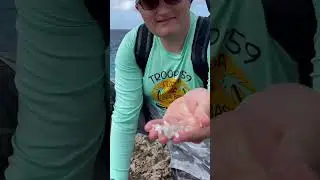 Trying Fresh Salt From The Ocean!! #shorts