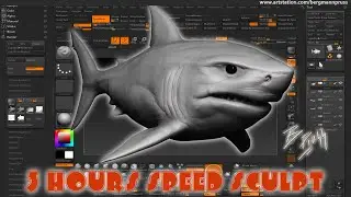 Shark sculpt