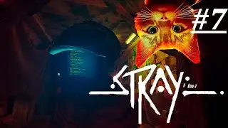 Прохождение игры Stray МИТДАУН
