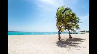 meditation music,relaxing music