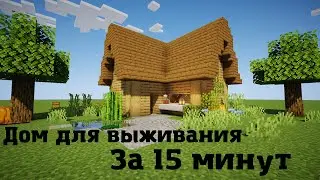 Красивый дом для начала выживания