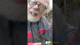 NAIL GUN