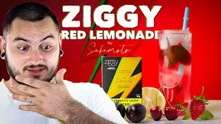 LANÇAMENTO ZIGGY RED LEMONADE BY SAKAMOTO LIMONADA COM FRUTAS VERMELHAS - SESSAO COM FIRFAO