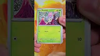 First Look at Surging Sparks! Opening Pokémon's HOTTEST New Booster Packs!