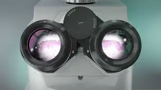 GENOSKIN - Biotech Animation Video Explainer