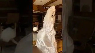 COMO SÃO OS CACHORROS BRASILEIROS KKKKKKKKKK 