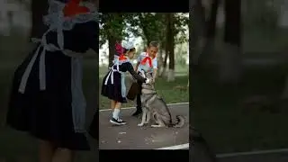 Вот и лето пролетело ...
