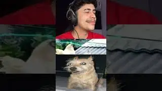 BORA VER SE A GENTE DÁ RISADA