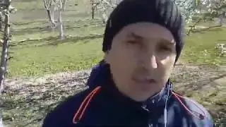 5 совет о деньгах, которые не стоит читать