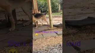 play day! 💨🤍🤯😃💬 