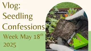 Garden Diaries May 18th | What went wrong with my seedlings