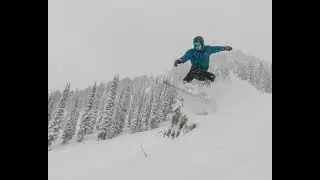 Fernie 2017