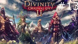 Divinity Original Sin 2 Рагу из Магистров.  Новый питомец Пискун