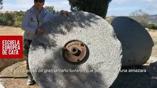 Molino de empiedro  Oleoturismo con Mar Luna