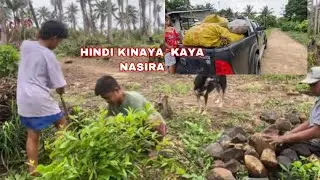 DAGDAG TANIM SA NIYOGAN
