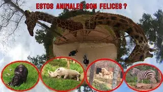 El Castillo de las Guardas - Sevilla