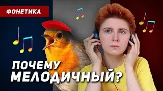 Секрет мелодичности французского языка: СЦЕПЛЕНИЕ и СВЯЗЫВАНИЕ звуков, беглая речь