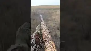 Охота на зайца 