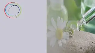 Технология на хомеопатичните и фитопродукти