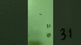 30 мая 2024 г.