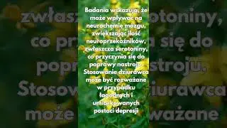 Dziurawiec ma wiele pozytywnych właściwości antydepresyjnych i poprawiajacych samopoczucie