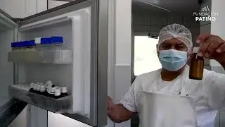 Elaboración Yogurt Bebible Natural y Derivados - Valor Agregado