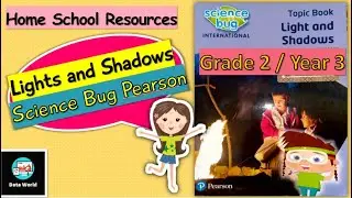 Science Bugs Lights and Shadows | Grade 2 / Year 3 | Workbook | Grade 2 Science | Year 3 Science