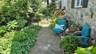 Adopting a Cinderella Garden