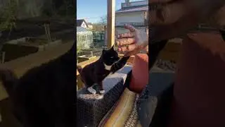 С майскими праздниками ;)