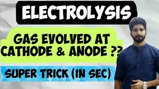 Electrolysis (Gas evovled at cathode and anode ?)