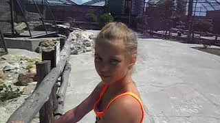 Зоопарк.