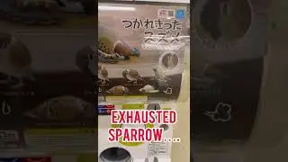 I got lost in a MAZE of Gacha Machines!
