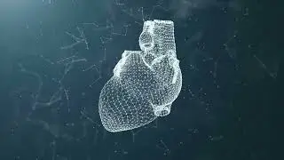 10 interesting facts about Heart