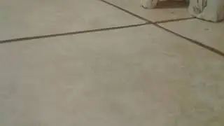 Stinky sock