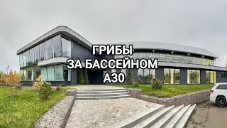Хейтеры люблю вас! Самый глубокий бассейн А30 Всеволожск Ленинградская область, грибы в засуху🍄‍🟫🍄
