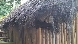 Sejarah Berdirinya Kampung Dukuh cikelet garut jawa barat @KampungDukuh @silsilahkampungdukuh