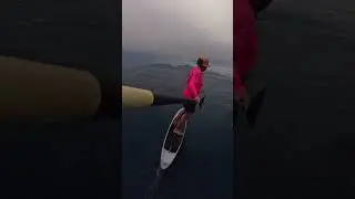 Gabby Bella hand paddles 8’6 V2 Barracuda