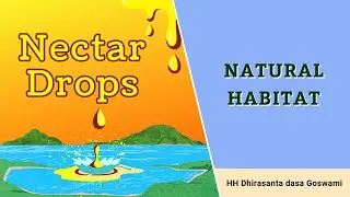Spiritual world is a natural habitat | Духовный мир естественная среда обитания