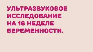 УЗИ на 16 неделе беременности