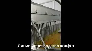 Линия производства желирующий конфет
